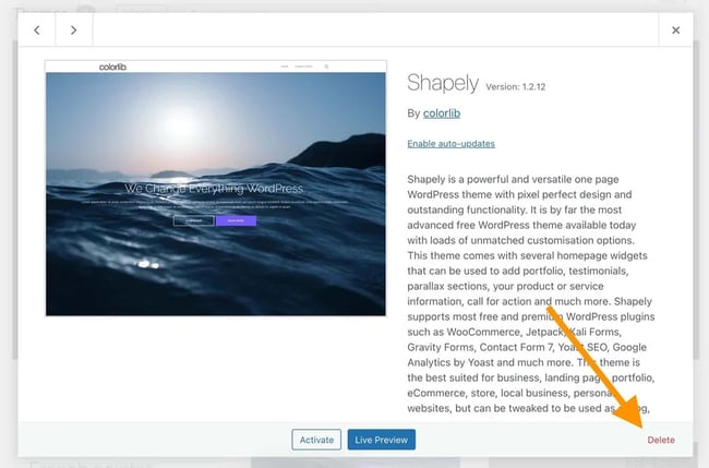 How to Delete a Theme in WordPress [3 Easy Methods]